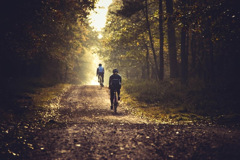 Forest Cycling